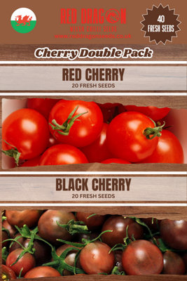 Cherry Tomato Pack Double Pack Tomato Seeds from B&Q