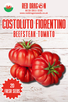 Costoluto Florentino Tomato Seeds20 Fresh Seeds from B&Q