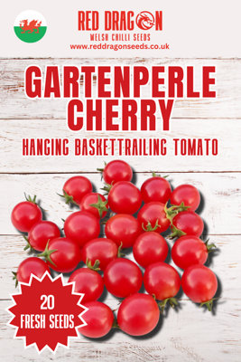 Gartenperle Tomato Seeds20 Fresh Seeds from B&Q
