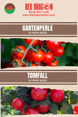 Hanging Basket Double Pack Tomato Seeds from B&Q
