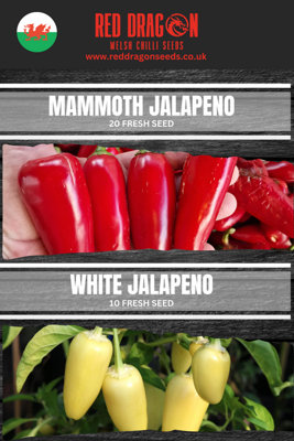Jalapeno Seeds Double Pack30 Fresh Seeds from B&Q