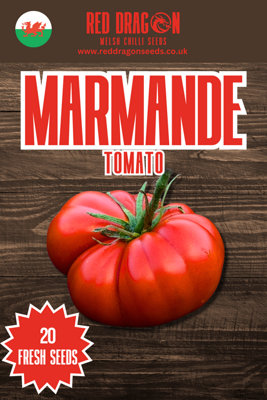  - Marmande Superprecoce Tomato Seeds20 Fresh Seeds