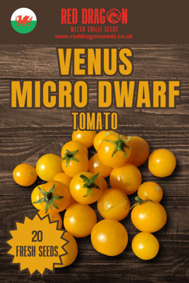 Venus Micro Dwarf Tomato Seeds20 Fresh Seeds from B&Q