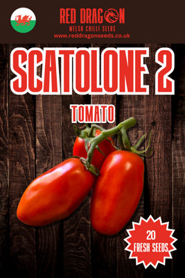  - Scatolone 2 Plum Tomato Seeds20 Fresh Seeds