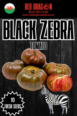  - Black Zebra Tomato Seeds10 Fresh Seeds
