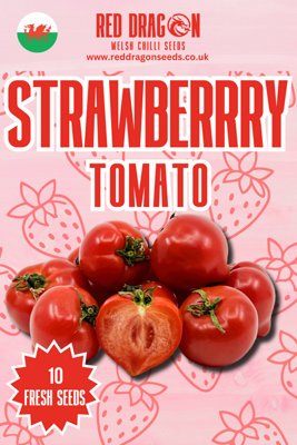 Strawberry Tomato Seeds10 Fresh Seeds from B&Q