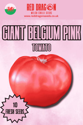 B&Q -  Giant Belgium Pink Tomato Seeds For Home Garden Growing