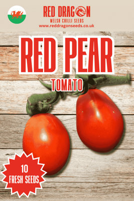 B&Q -  Red Pear Tomato Seeds For Home Garden Growing