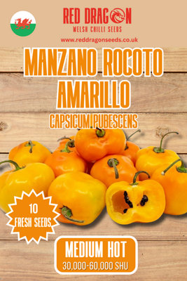 B&Q -  Manzano Rocoto Amarillo Chilli Seeds For Growing Hot Peppers