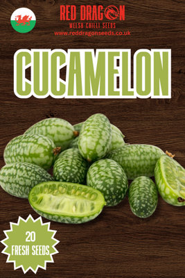 Cucamelon Seeds20 Fresh Seeds from B&Q