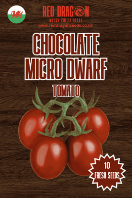 Chocolate Micro Dwarf Tomato Seeds10 Fresh Seeds from B&Q