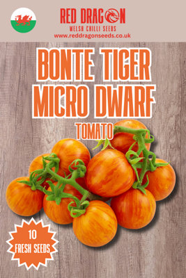 Bonte Tiger Micro Dwarf Tomato Seeds10 Fresh Seeds from B&Q