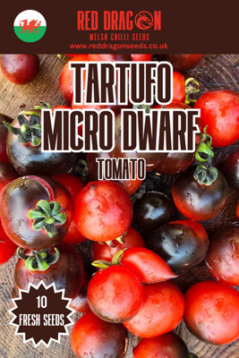 Tartufo Micro Dwarf Tomato Seeds10 Fresh Seeds from B&Q