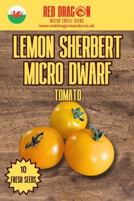 B&Q -  Lemon Sherbert Micro Dwarf Tomato Seeds For Home Garden Growing
