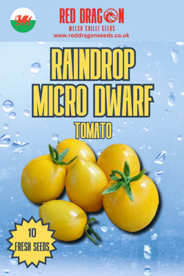 Raindrop Micro Dwarf Tomato Seeds10 Fresh Seeds from B&Q