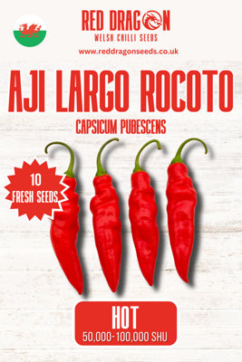 Red Dragon Seeds LTD Aji Largo Rocoto Chilli Seeds For Growing Hot Peppers from B&Q