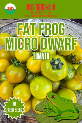 B&Q -  Fat Frog Micro Dwarf Tomato Seeds For Home Garden Growing