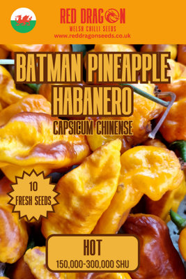B&Q -  Batman Pineapple Habanero Chilli Seeds For Growing Hot Peppers