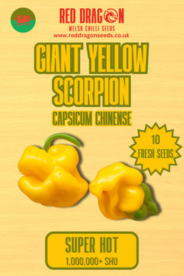 B&Q -  Giant Yellow Scorpion Chilli Seeds For Growing Hot Peppers