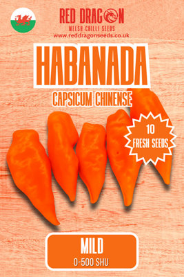 B&Q -  Habanada Chilli Seeds For Growing Hot Peppers