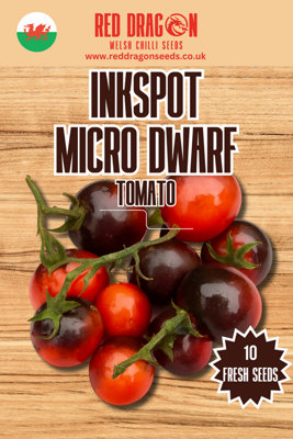 Inkspot Micro Dwarf Tomato Seeds10 Fresh Seeds from B&Q