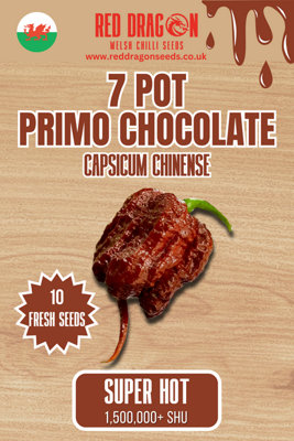 B&Q -  7 Pot Primo Chocolate Chilli Seeds For Growing Hot Peppers