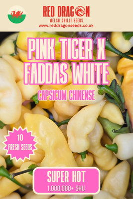 B&Q -  Pink Tiger X Faddas White Chilli Seeds For Growing Hot Peppers