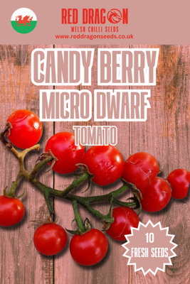 B&Q -  Candy Berry Micro Dwarf Tomato Seeds For Home Garden Growing