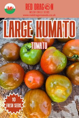 B&Q -  Large Kumato Tomato Seeds For Home Garden Growing