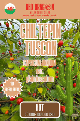 B&Q -  Chiltepin Tuscon Chilli Seeds For Growing Hot Peppers