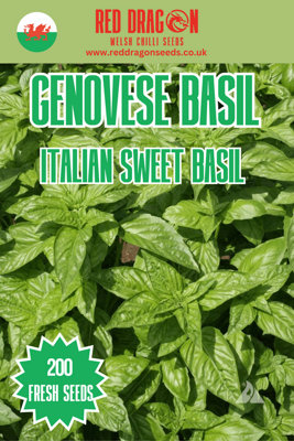B&Q -  Genovese Basil  Herb Seeds For Pots And Gardens