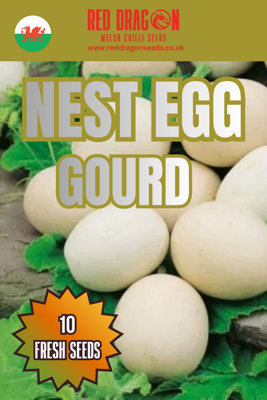 Nest Egg Gourd Seeds10 Fresh Seeds from B&Q