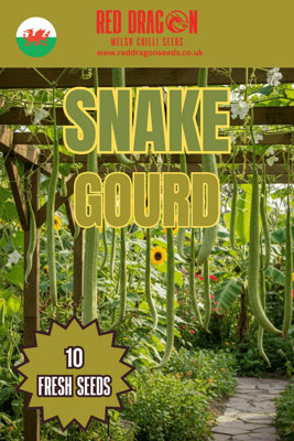 Snake Gourd Seeds10 Fresh Seeds from B&Q