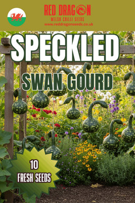 Speckled Swan Gourd Seeds10 Fresh Seeds from B&Q