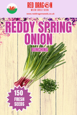 B&Q -  Reddy Spring Onion Seeds For Vegetable Garden Growing