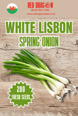 B&Q -  White Lisbon Spring Onion Seeds For Vegetable Garden Growing