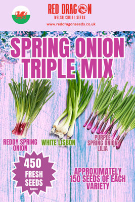 B&Q -  Spring Onion Triple Mix Seeds For Vegetable Garden Growing