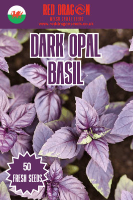 B&Q -  Dark Opal Basil  Herb Seeds For Pots And Gardens