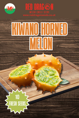 Kiwano Horned Melon Seeds10 Fresh Seeds from B&Q