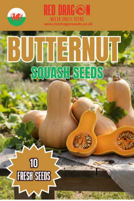 Butternut Squash Seeds10 Fresh Seeds from B&Q
