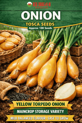 B&Q -  Tosca Onion Seeds For Vegetable Garden Growing