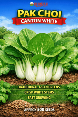 B&Q -  Canton White Pak Choi Seeds For Home Garden Growing