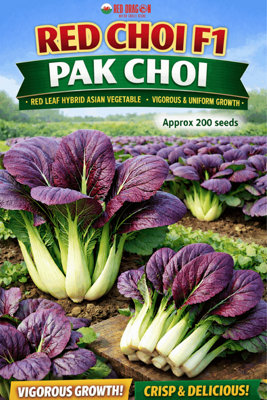 B&Q -  Red Choi F1 Pak Choi Seeds For Home Garden Growing