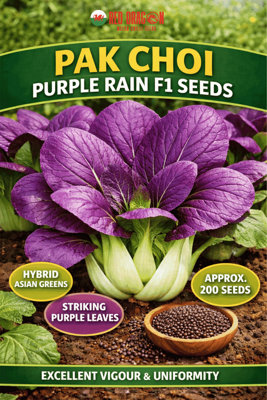 B&Q -  Pak Choi Purple Rain F1 For Home Garden Growing
