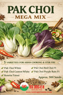 B&Q -  Pak Choi Mega Mix For Home Garden Growing
