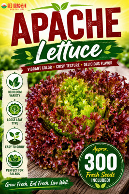 B&Q -  Apache Lettuce Seeds For Fresh Salad Growing
