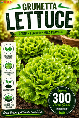 B&Q -  Grünetta Lettuce Seeds For Fresh Salad Growing