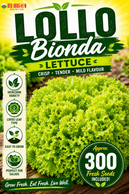 B&Q -  Lollo Bionda Lettuce Seeds For Fresh Salad Growing