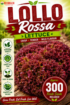 B&Q -  Lollo Rossa Lettuce Seeds For Fresh Salad Growing