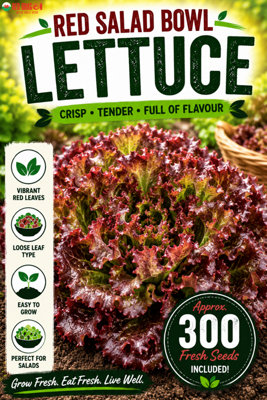B&Q -  Red Salad Bowl Lettuce Seeds For Fresh Salad Growing